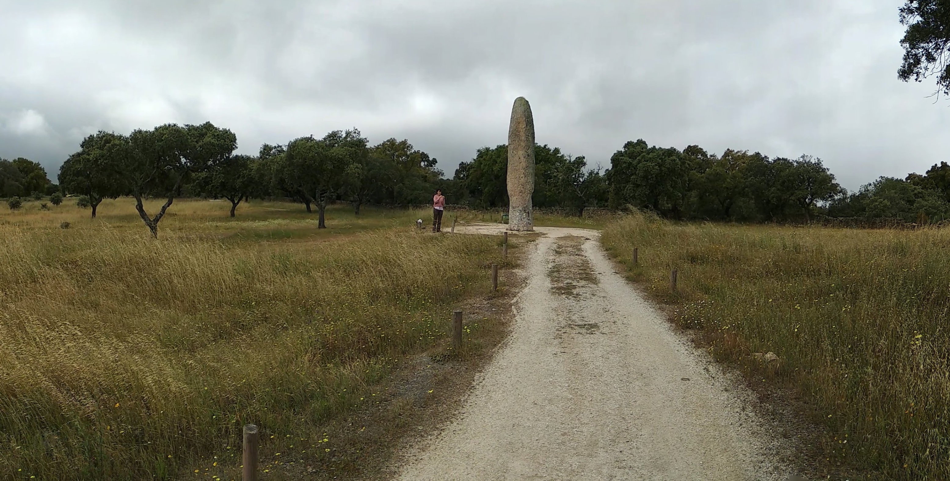 O Menir da Meada, junto a Castelo de Vide, rodeado de montado de sobro